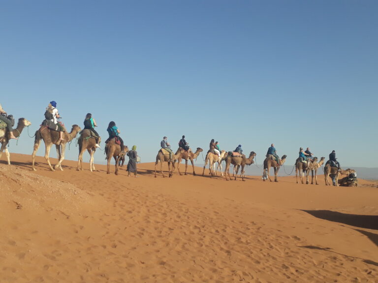 8 Days Desert Tour From Marrakech