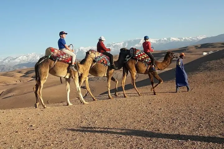 excursion en camellos en el desierto de agafay