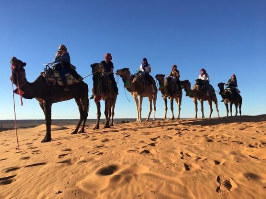 6 Days Desert Tour From Fes To Marrakech
