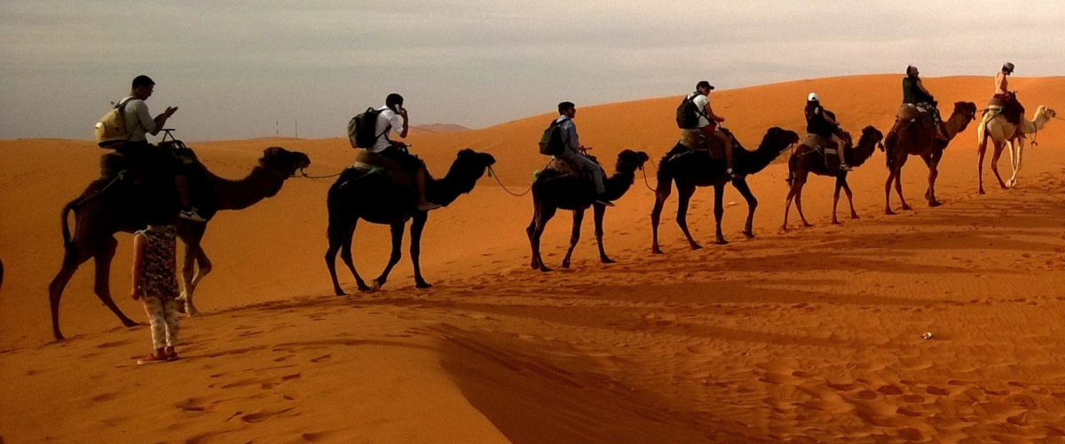 Berber guide leading tourists through Moroccan dunes