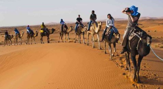 Travelers riding camels across the sand dunes of Erg Chebbi desert at sunset