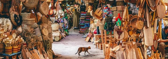 Excursión de 2 días por el desierto de Marrakech a Fez