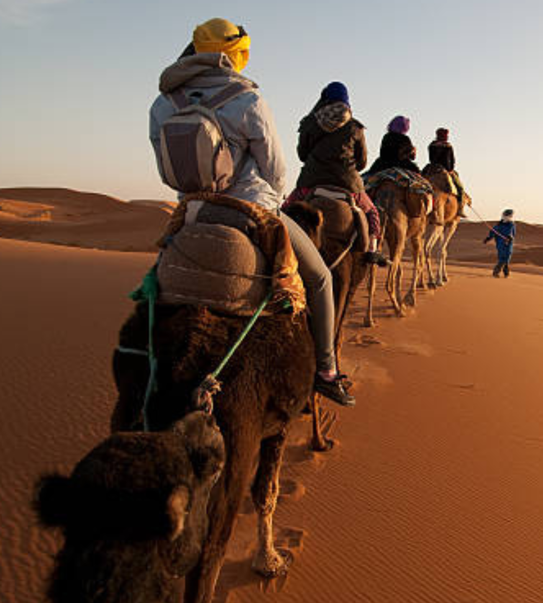 Camellos cruzando el desierto de Erg Chebbi al atardecer