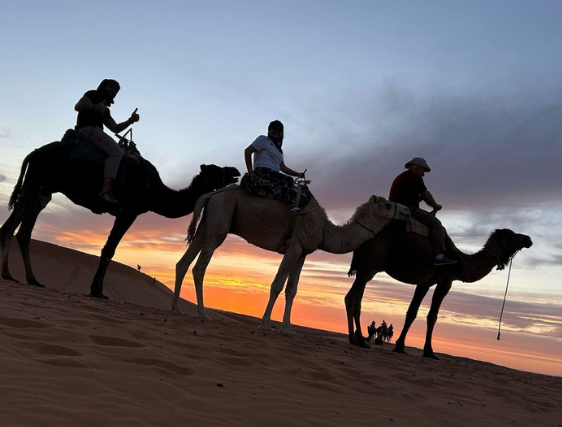 Evening Camel Tour – Merzouga Desert Adventure