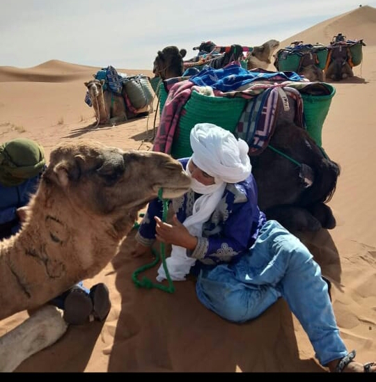 Erg Chigaga desert camel trekking Morocco