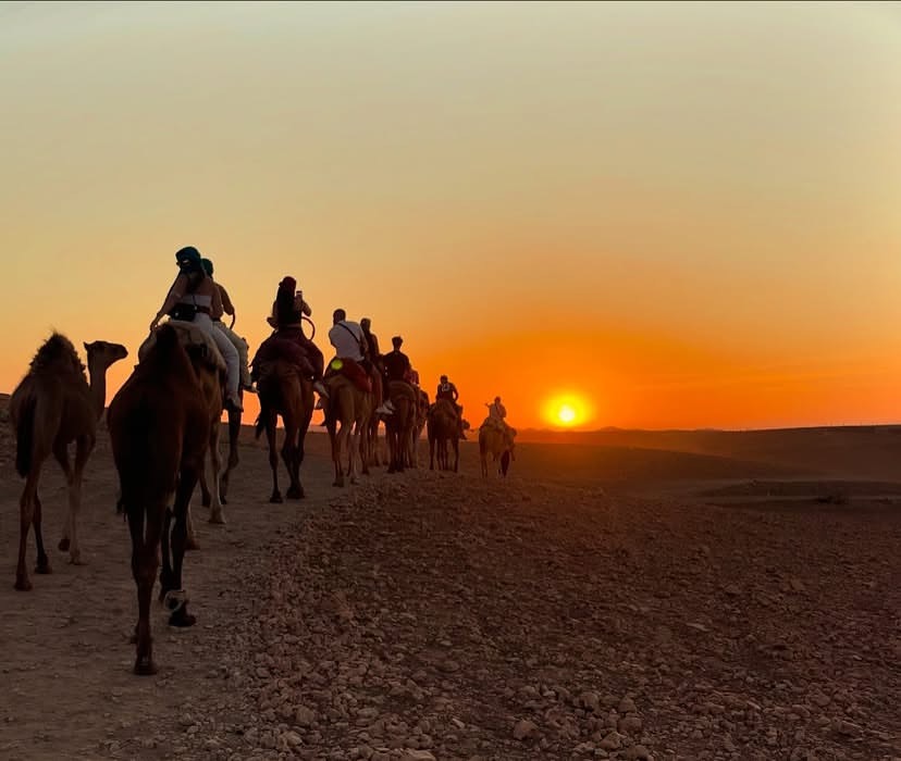 Marrakech Sunset Camel Ride in Agafay Desert