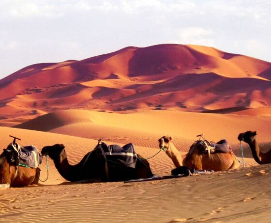 3-days-tour-from-errachidia-to-merzouga-desert