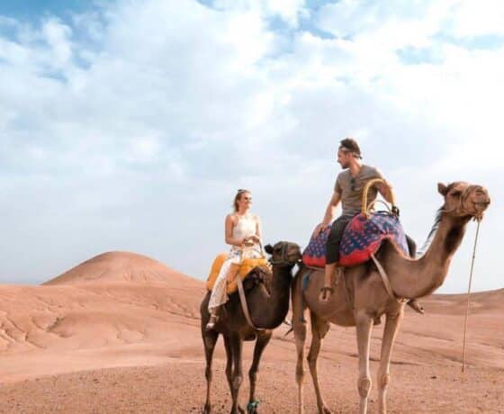 /camel-trekking-experience-in-agafay/