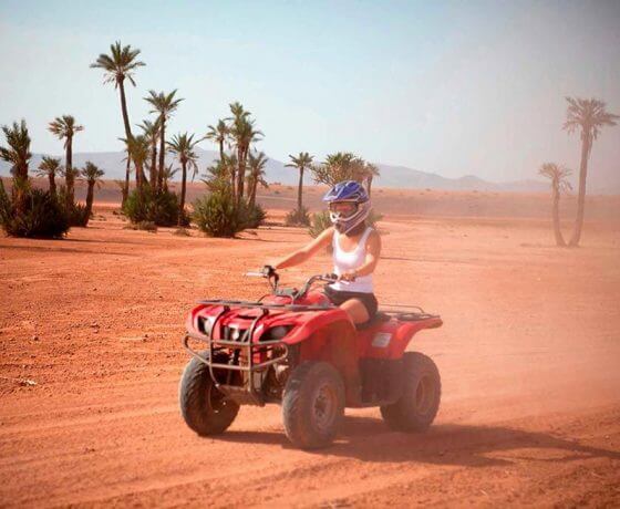 quad-experience-in-palm-grove4