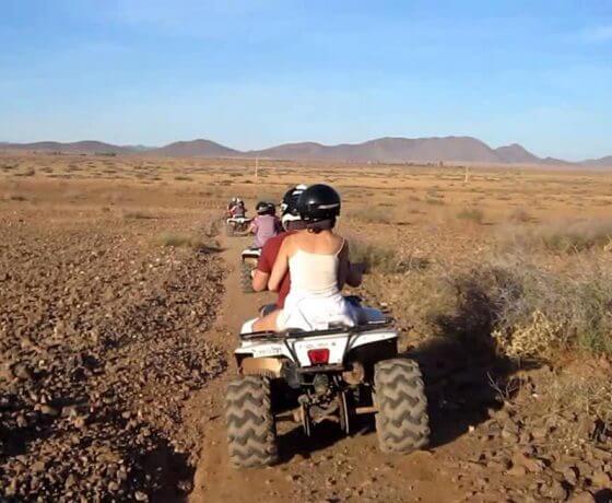 quad-experience-in-palm-grove4