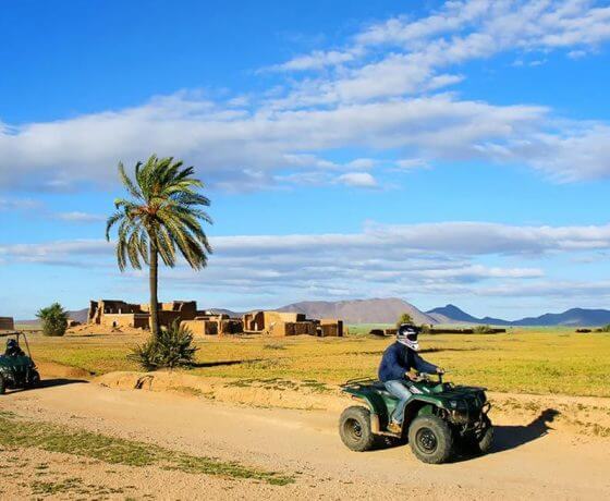 quad-experience-in-palm-grove4