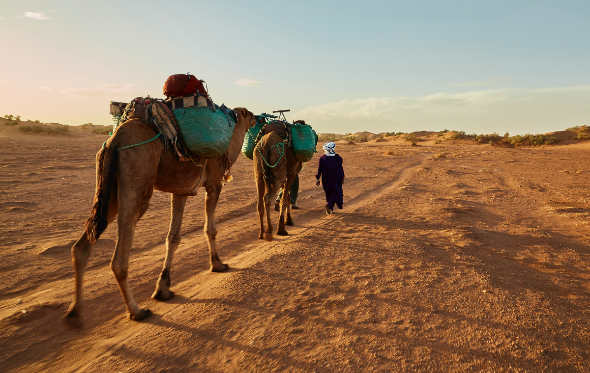 the-caravan-of-the-desert-5days-4-nights